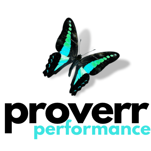Proverr Performance